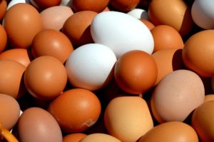 Eier Foto: Pixabay