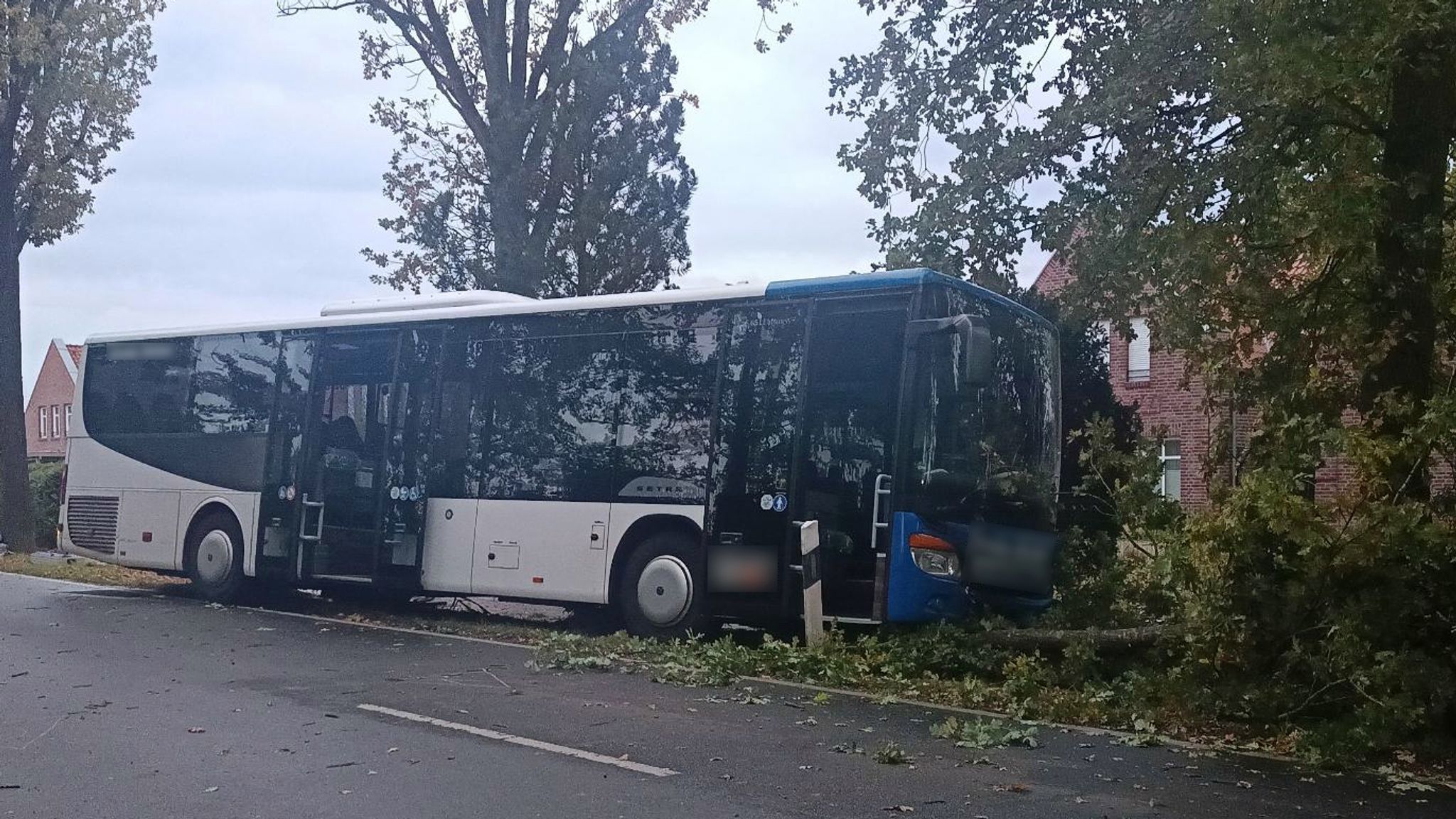 Elfjähriges Kind wird von Bus erfasst und stirbt - SAT.1 REGIONAL